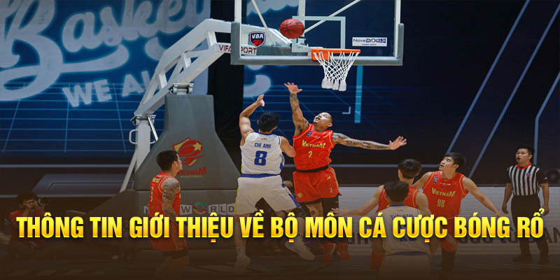 Kèo bóng rổ là gì? Kèo bóng rổ là gì?